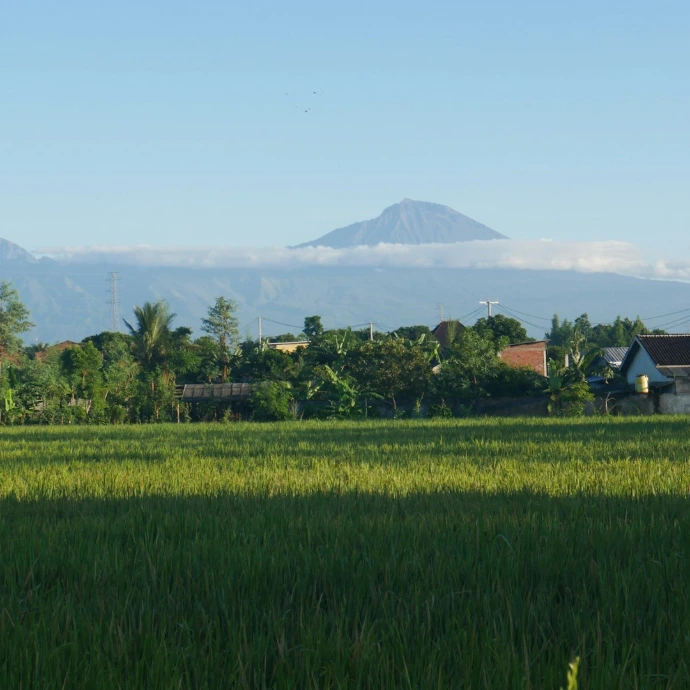 Green field with mountains in the distance.